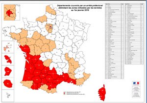 Carte infestation termites HAUTE VIENNE